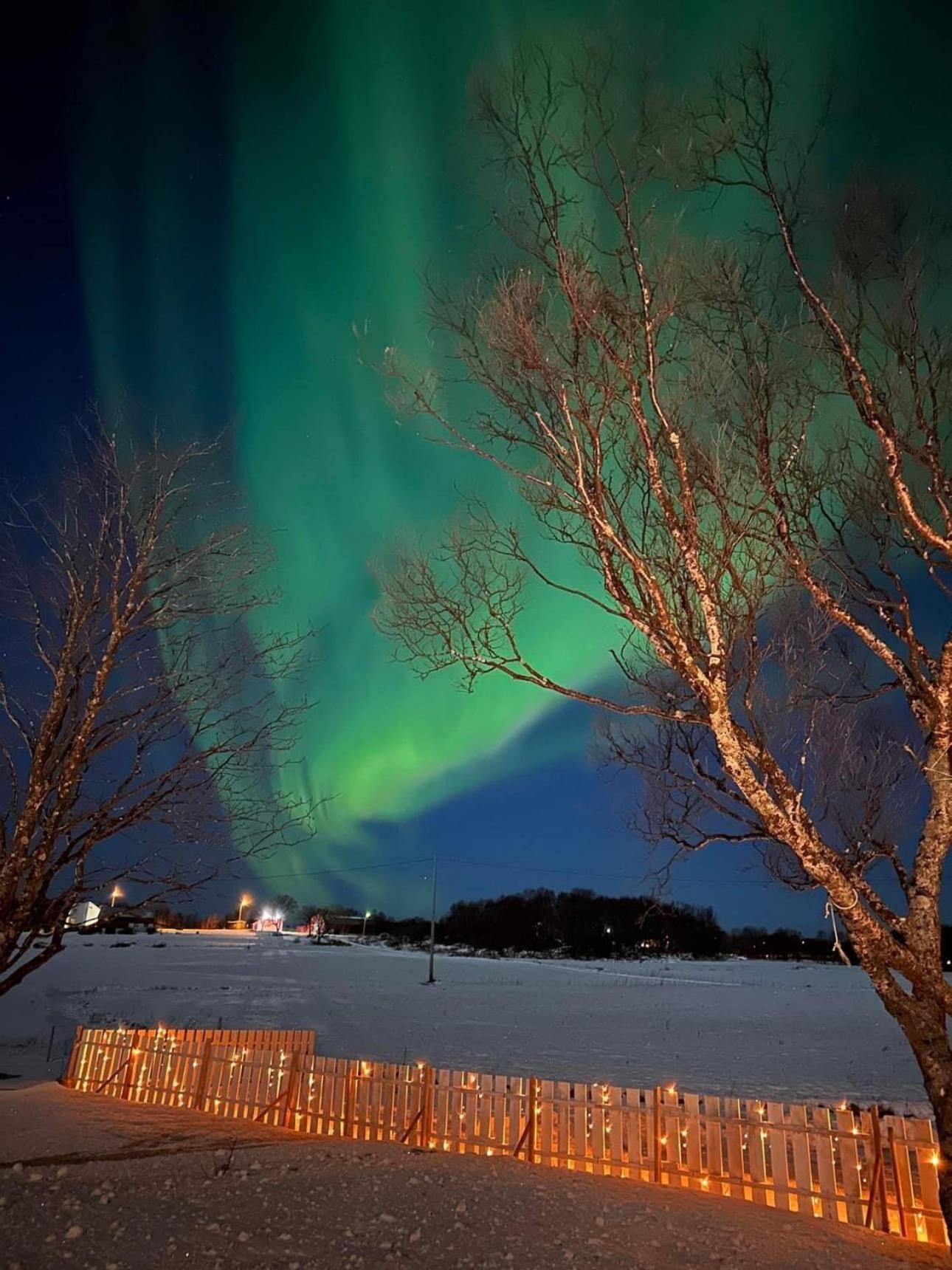 Midnattsolveien 3158,Sommarhusstrand Laukvik Lofoten Norway Exterior foto